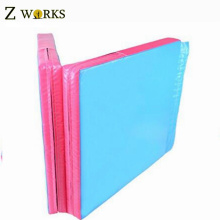 Chinese Factory Landing Gymnastics Mats Used For Training Protect